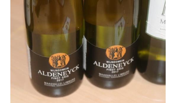 5 flessen à 75cl divese witte wijn: 3x M de MARTET, Bordeaux Blanc 2019 en 2x ALDENEYCK, Pinot Gris 2017